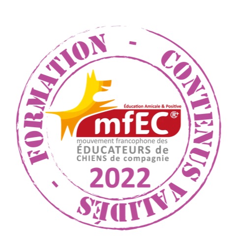 Formations reconnues et référencées par le MFEC